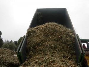 Biomasa del olivar