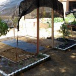 Compost elaborado a partir de residuos para un huerto urbano social en Córdoba