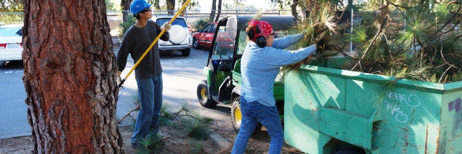 La economía verde puede crear 20 millones de empleos en Europa en seis años