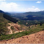 Encuentran una planta ‘hiperacumuladora’ de arsénico que podría usarse en la descontaminación de suelos