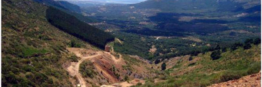 Encuentran una planta ‘hiperacumuladora’ de arsénico que podría usarse en la descontaminación de suelos