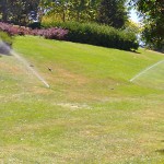 2.000 hectáreas de zonas verdes se riegan con agua reciclada en la Comunidad de Madrid