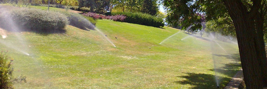 2.000 hectáreas de zonas verdes se riegan con agua reciclada en la Comunidad de Madrid