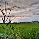 La Albufera de Valencia tendrá la primera planta para generar energía y bionutrientes a partir de residuos del cultivo de arroz