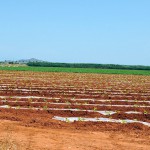 Murcia lidera un proyecto para descontaminar aguas residuales utilizando luz solar