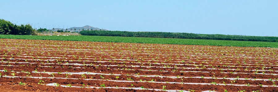 Murcia lidera un proyecto para descontaminar aguas residuales utilizando luz solar