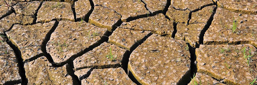 El calentamiento terrestre derivado del efecto invernadero. ¿Causas naturales y/o antropogénicas?