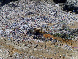 Waste Atlas analiza los más grandes vertederos del planeta