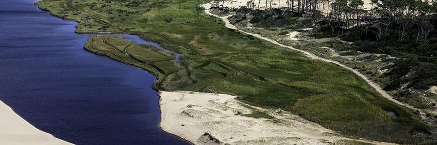 Uruguay cuelga en la red toda su legislación medioambiental