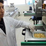 Nuevo bioplástico procedente de fuentes 100% renovables