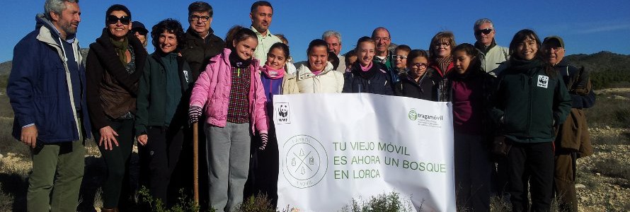 Comienza el plan de reforestación integrado en la campaña “1 árbol x 1 móvil”