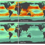 269.000 toneladas de residuos plásticos flotan en los océanos del planeta