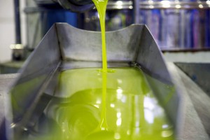 Proyecto para calcular la huella de carbono del proceso productivo del aceite de oliva