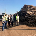 El sector andaluz de biomasa energética ha creado mil nuevos empleos