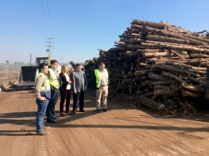 El sector de la biomasa energética generó mil empleos en Andalucía