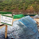 Las Palmas de Gran Canaria produce 2.000 m³ de compost a partir de sus restos vegetales