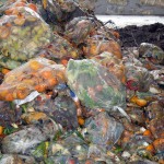 Investigan nuevas vías de valorización de residuos