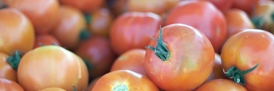 Investigan el uso de residuos de tomate en la fabricación de coches