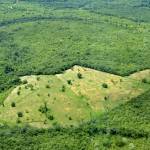 La industria brasileña del acero duplica sus emisiones de CO2 al sustituir el carbón mineral por vegetal