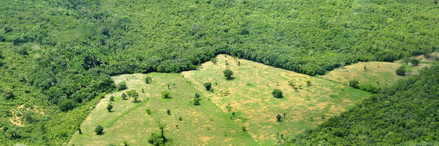 La industria brasileña del acero duplica sus emisiones de CO2 al sustituir el carbón mineral por vegetal