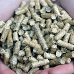 CARTIF, primer laboratorio español acreditado para realizar ensayos para pellets de madera ENplus