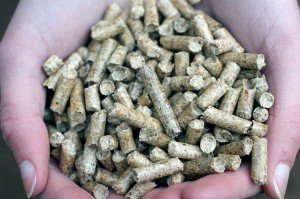 CARTIF, primer organismo español acreditado para realizar ensayos para pellets de madera ENplus de uso térmico
