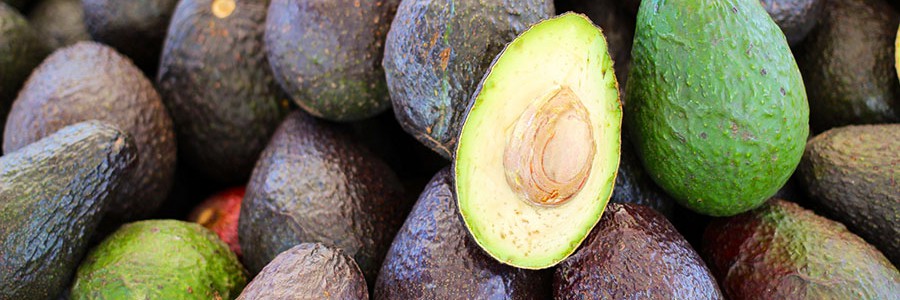 La mayor empresa de bioplástico de México usará huesos de aguacate como materia prima