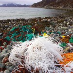 El proyecto MARLISCO propone medidas para reducir la basura marina