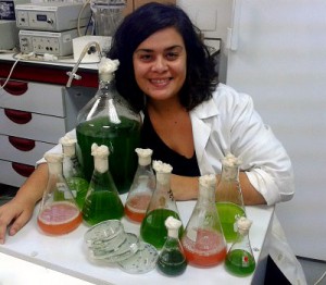 Una nueva microalga aislada en  Marismas de Odiel podría aprovecharse para producir biodiésel