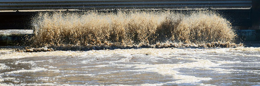 Proyecto para la valorización eficiente de aguas residuales de la industria alimentaria