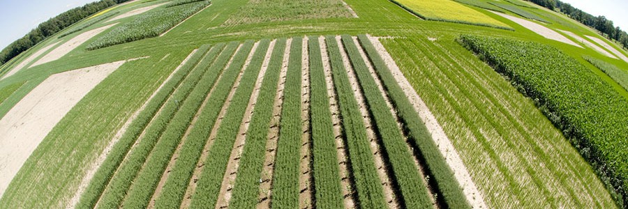 La UE reorienta su política sobre biocombustibles