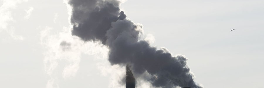 Estándares de emisiones débiles pondrían en riesgo miles de vidas en Europa