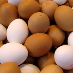Investigan el aprovechamiento de la cáscara de huevo para obtener nuevos materiales