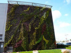 Los paneles biodegradables a partir de residuos agrícolas y micelio de hongo pueden servir como soporte de jardines verticales