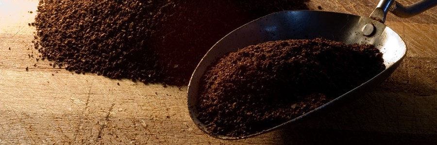 Subproductos de la industria cafetera podrían aprovecharse en la alimentación funcional