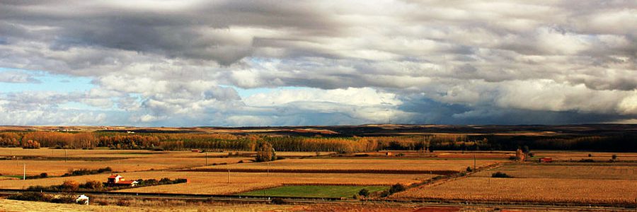 Denuncian el abono de tierras con residuos urbanos triturados en la provincia de León