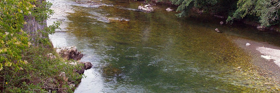 Un software español identifica el origen de la contaminación fecal en el agua