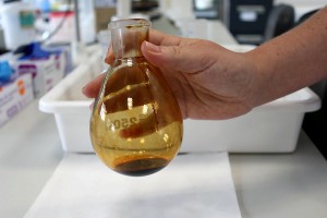 Los investigadores han obtenido una valiosa molécula bioactiva en el alperujo, un residuo de la extracción de aceite de oliva