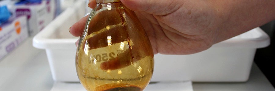 Aíslan una molécula de gran valor en el residuo de la producción de aceite de oliva