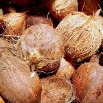 Obtienen productos saludables a partir de residuos de coco