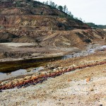 Nanopartículas para descontaminar agua y suelos