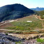 Purines y residuos de mármol, la mejor opción para recuperar suelos contaminados