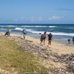 19 de septiembre, Día Internacional de la Limpieza de Playas