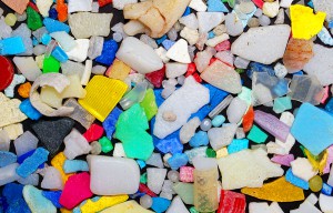 Resultado de imagen de LOS MICROPLASTICOS