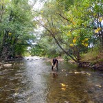 ¿Cómo perjudican las depuradoras el ecosistema de los ríos?