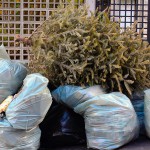 Cómo reducir la generación de residuos en Navidades