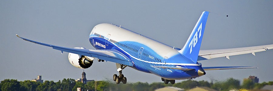 Boeing aprovechará residuos forestales como biocombustible en sus aviones