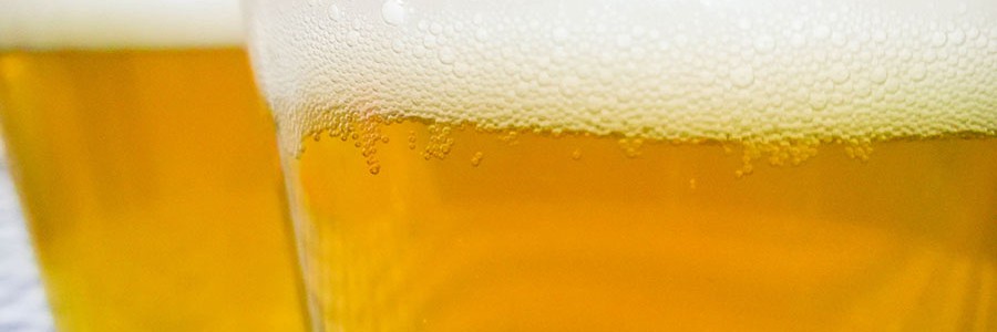 Nuevos bioproductos a partir de residuos de la cerveza