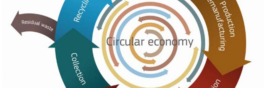 Economía Circular: Hacia la cuadratura del círculo