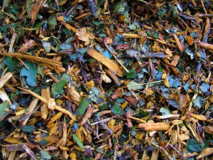 Aprovechan restos de poda y jardinería mediante su compostaje